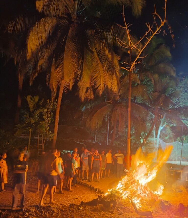 जिल्ह्यात 4000 होळ्या उभ्या राहणार